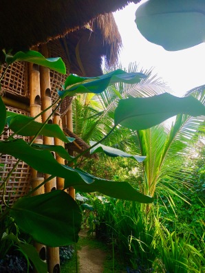 Cocon en Bambou